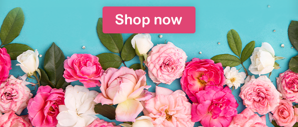 Shop now Shop now