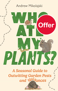 Who Ate My Plants?