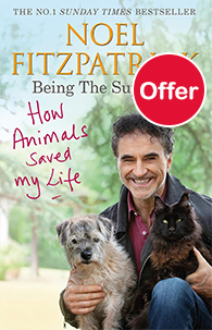 How Animals Saved My Life