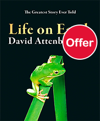 Life on Earth