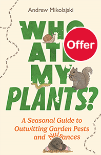 Who Ate My Plants?