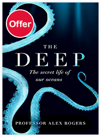 The Deep
