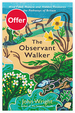 The Observant Walker