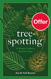 Tree-Spotting