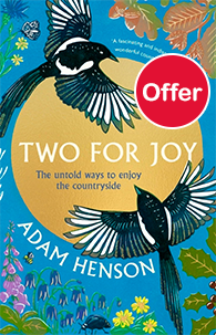 Two for Joy