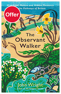 The Observant Walker