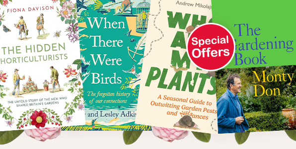 Special Offers