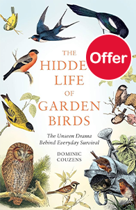 The Hidden Life of Garden Birds