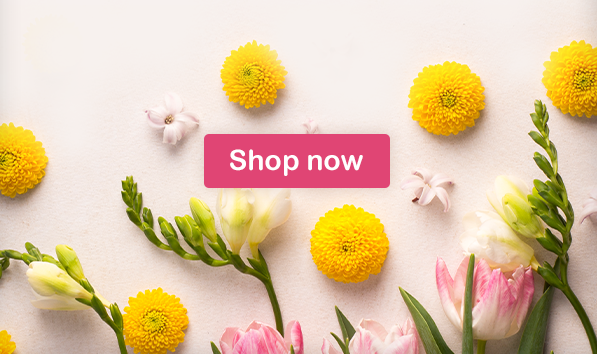 Shop now Shop now