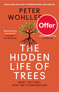 The Hidden Life of Trees