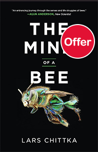 The Mind of a Bee